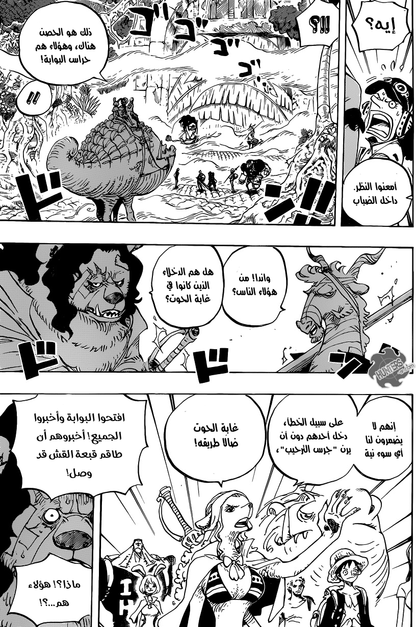 One Piece: Chapter 806 - Page 11
