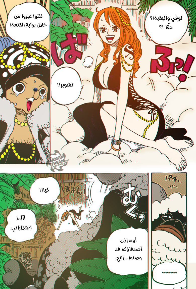 One Piece: Chapter 806 - Page 14