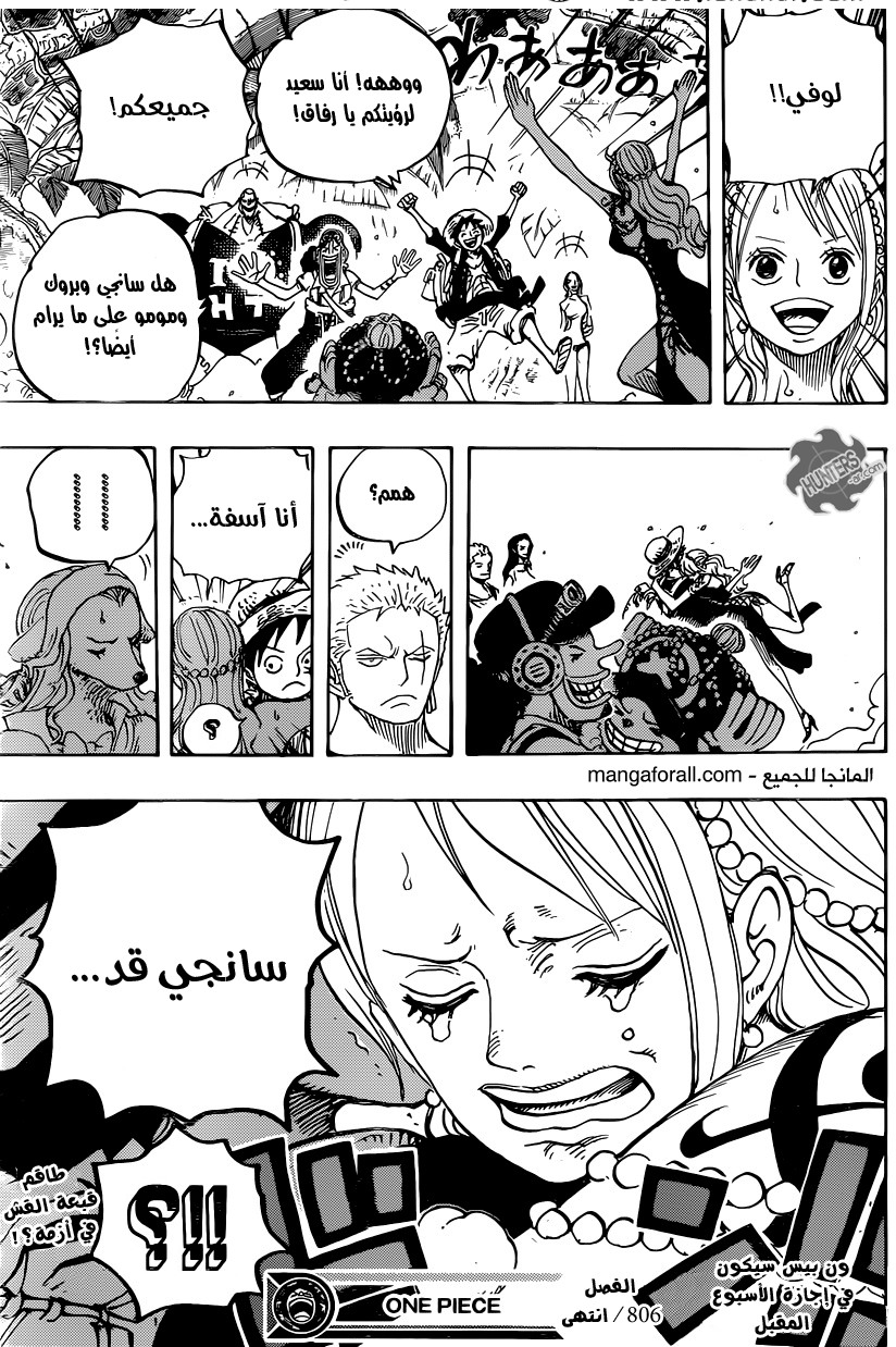 One Piece: Chapter 806 - Page 19