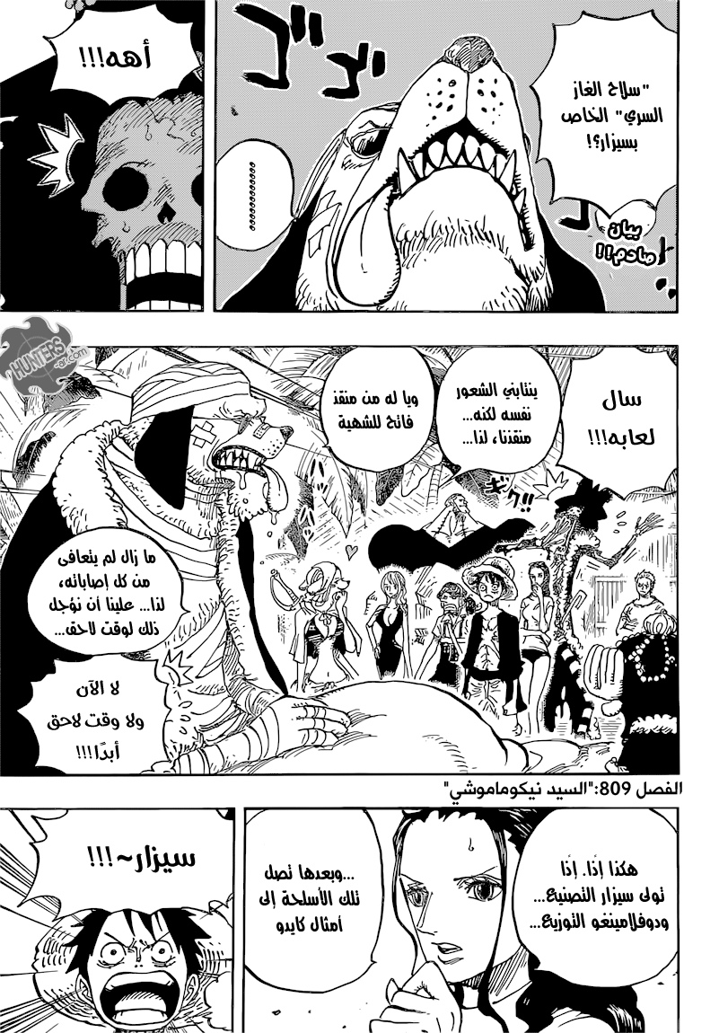 One Piece: Chapter 809 - Page 5