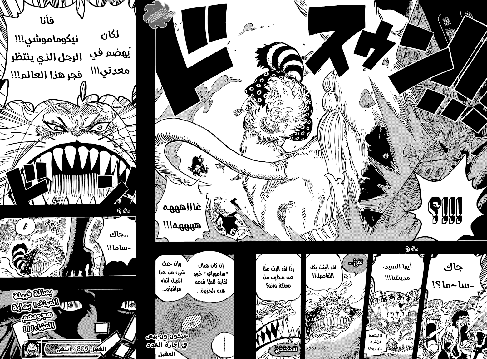 One Piece: Chapter 809 - Page 18