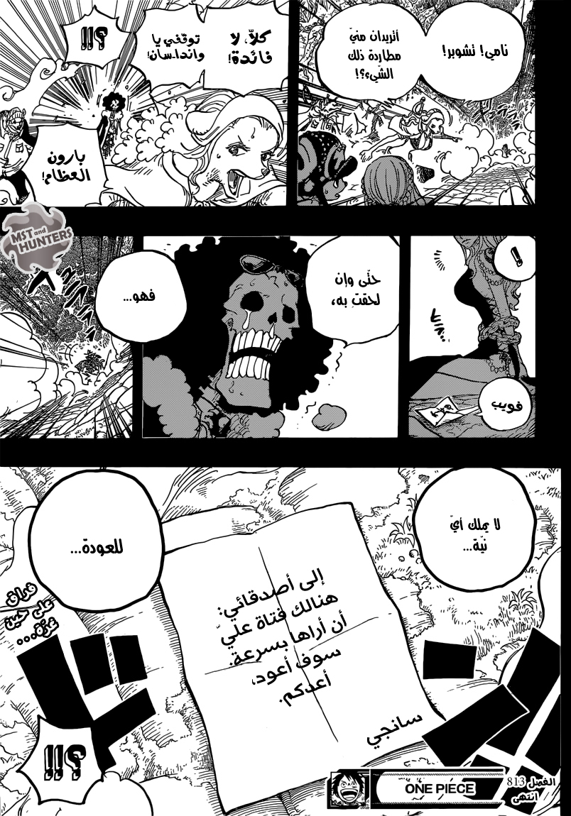 One Piece: Chapter 813 - Page 17