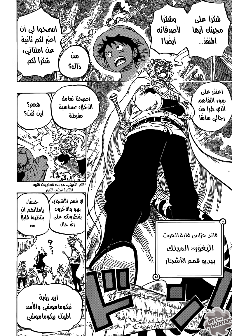 One Piece: Chapter 814 - Page 11