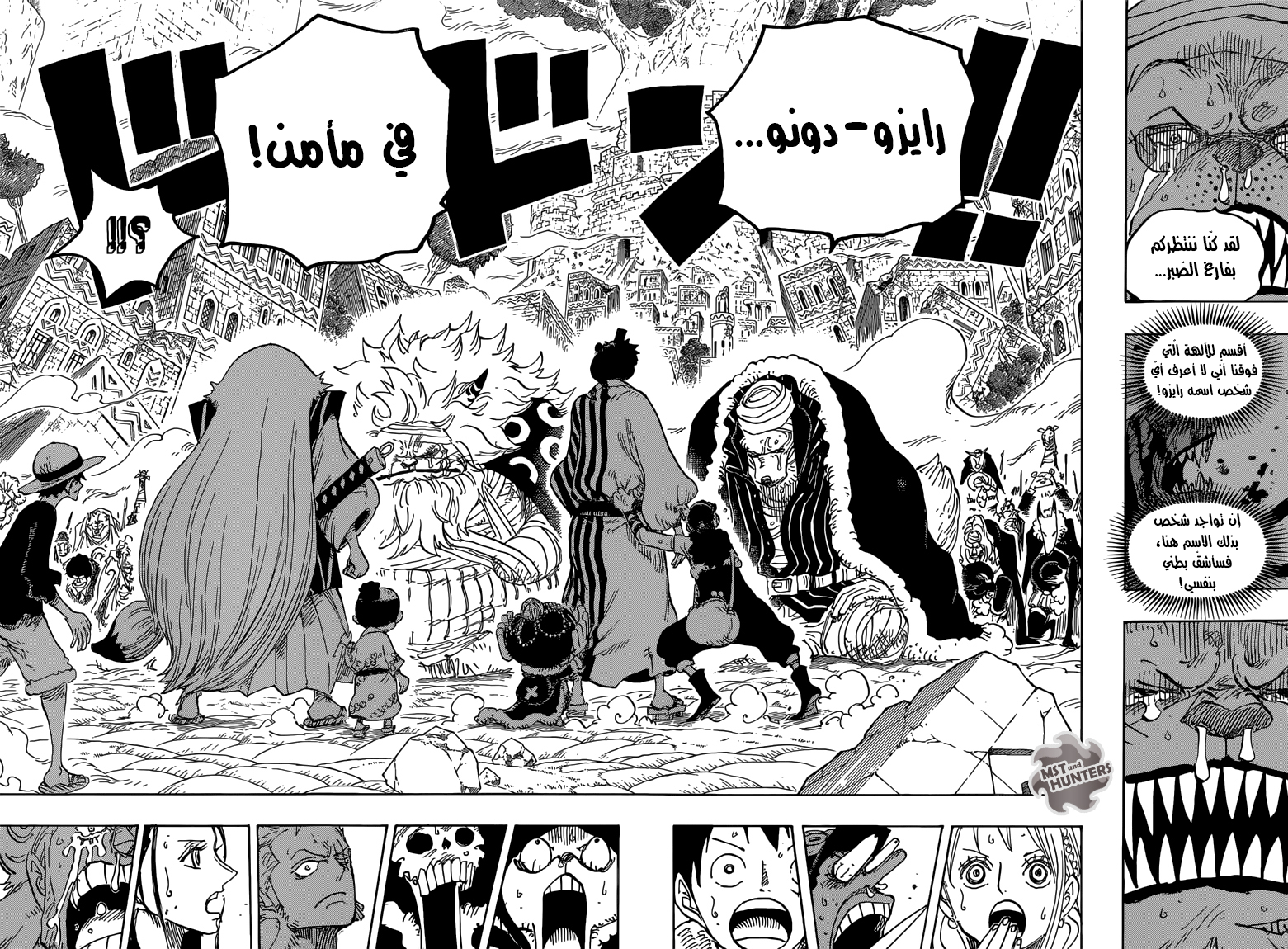 One Piece: Chapter 816 - Page 14