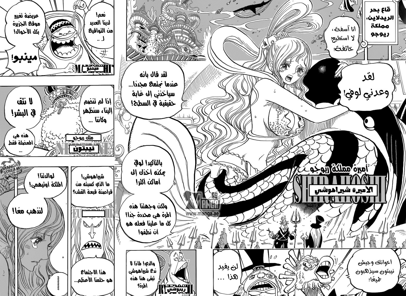 One Piece: Chapter 823 - Page 14