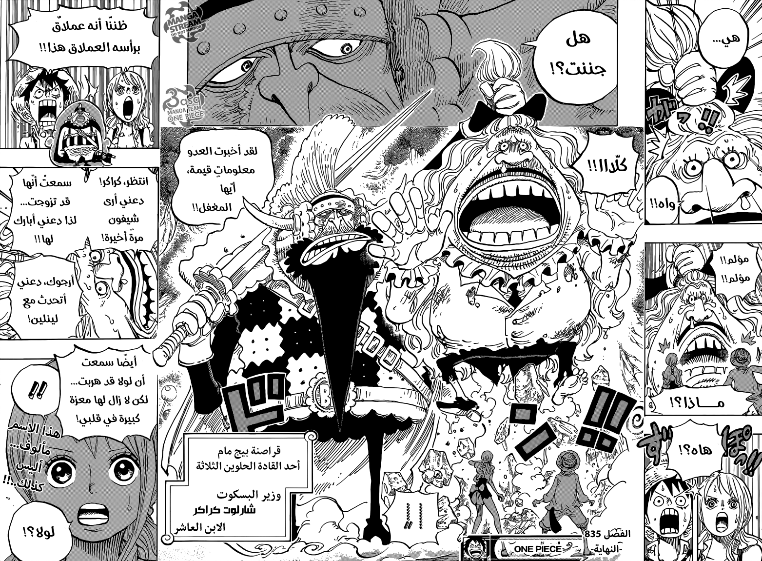 One Piece: Chapter 835 - Page 20