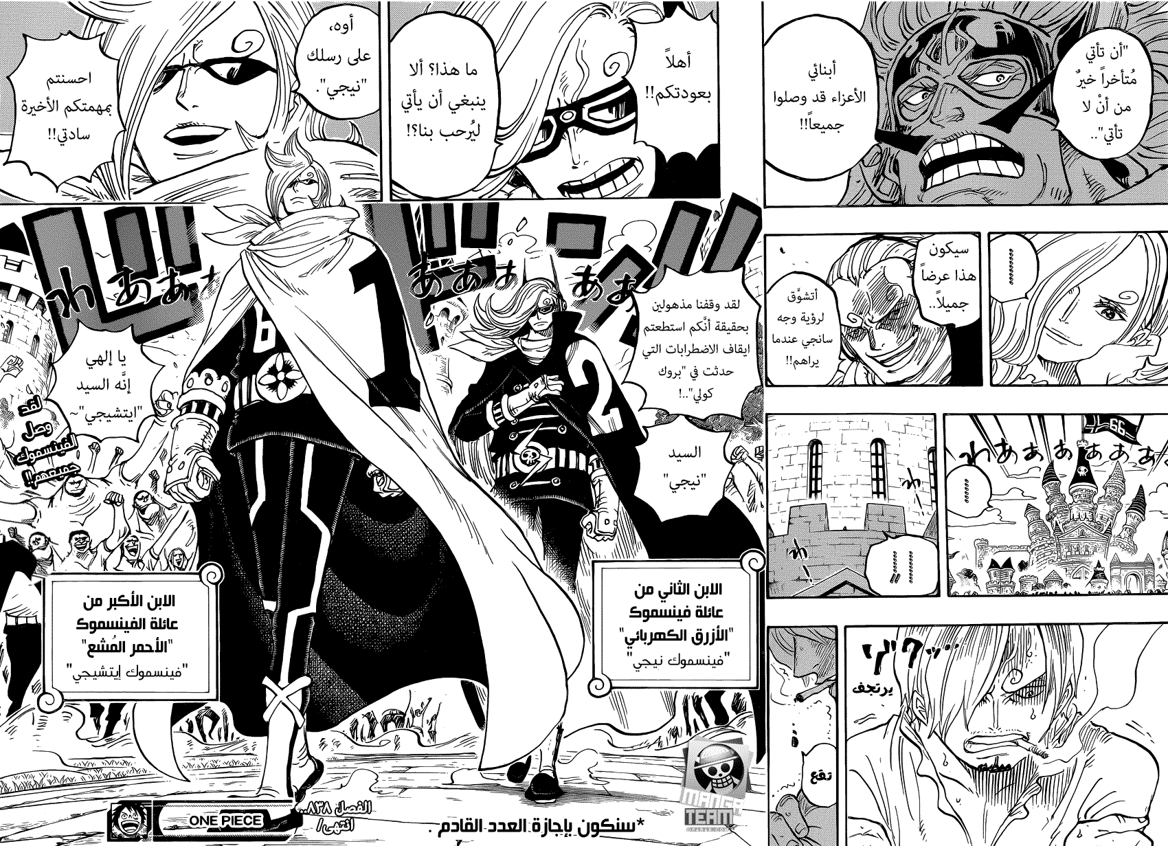 One Piece: Chapter 838 - Page 18