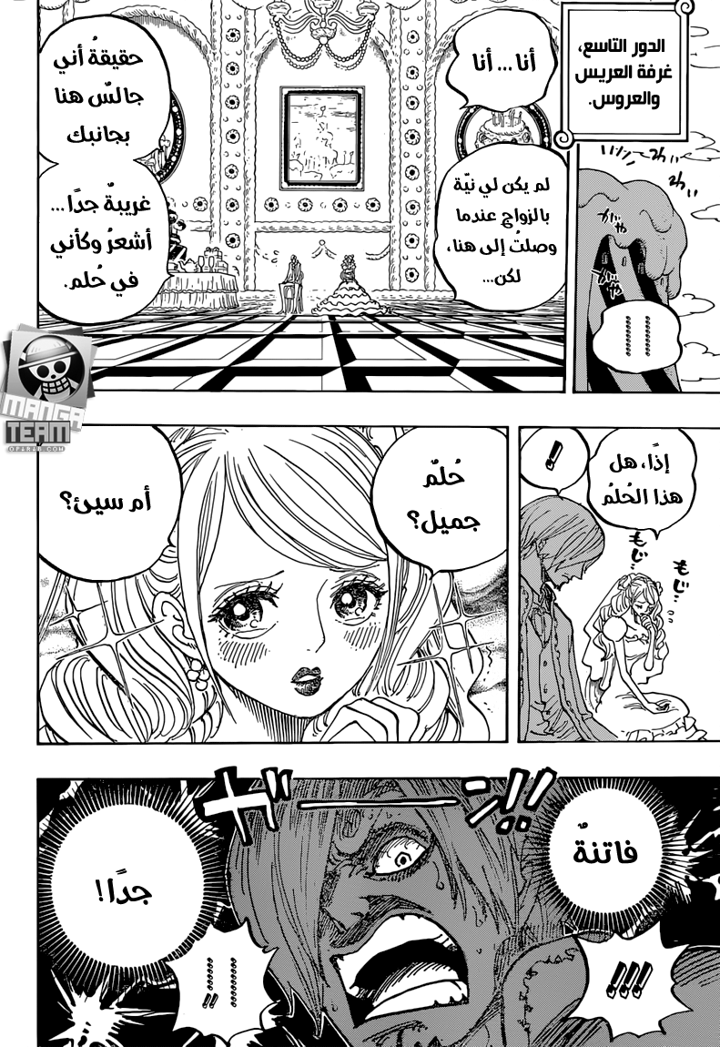 One Piece: Chapter 861 - Page 13