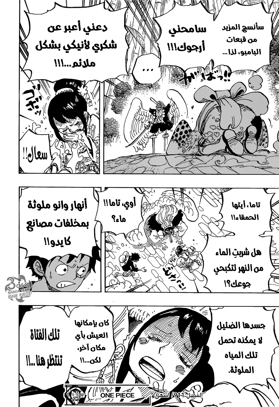 One Piece: Chapter 911 - Page 17