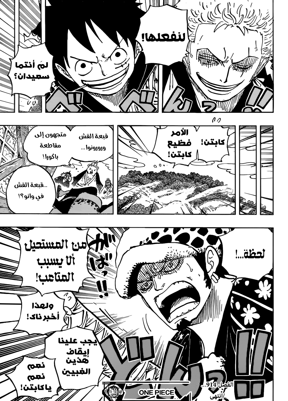 One Piece: Chapter 914 - Page 17