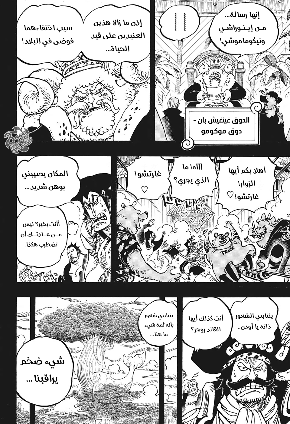 One Piece: Chapter 967 - Page 13