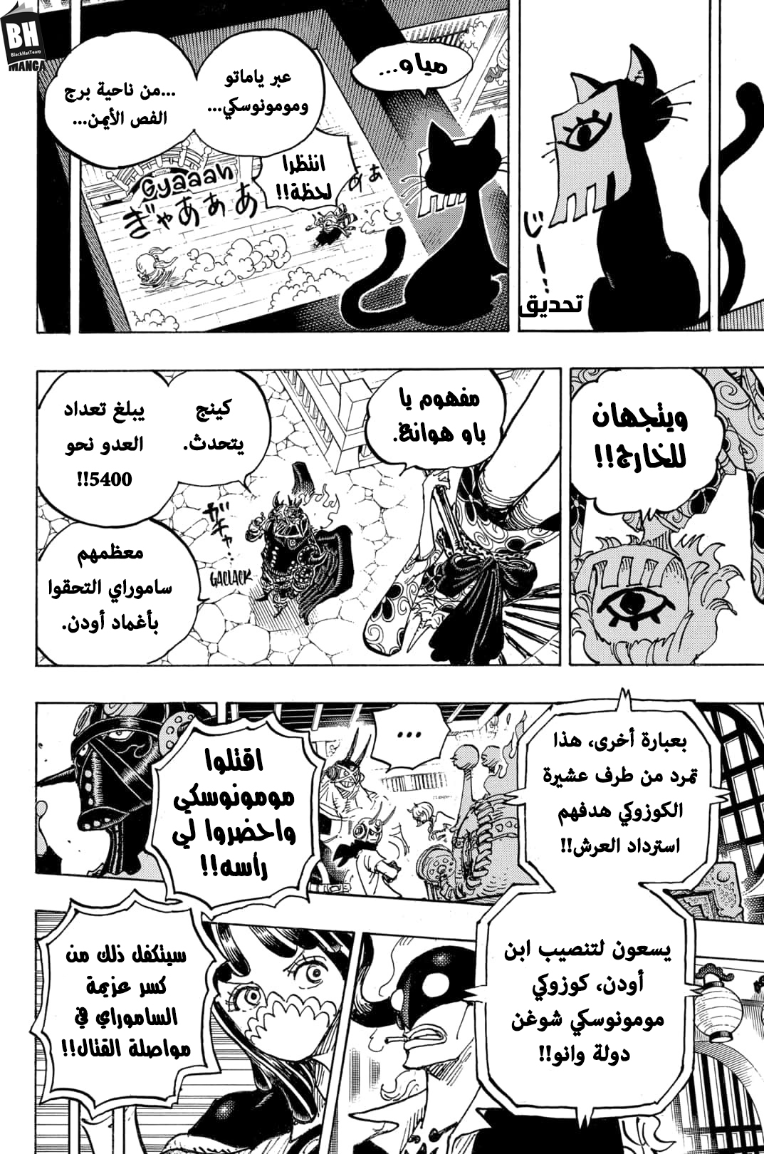 One Piece: Chapter 993 - Page 11