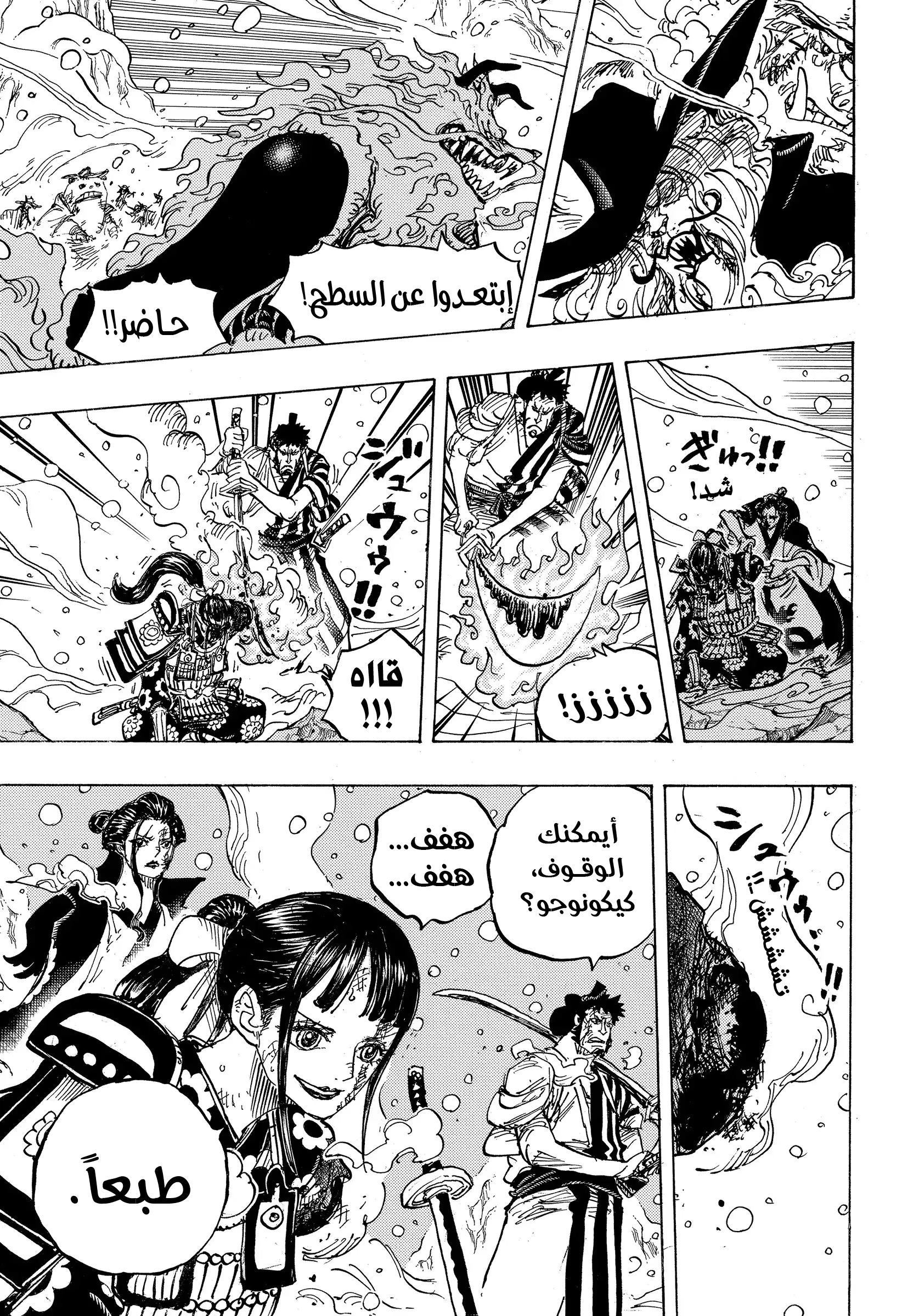 One Piece: Chapter 994 - Page 3