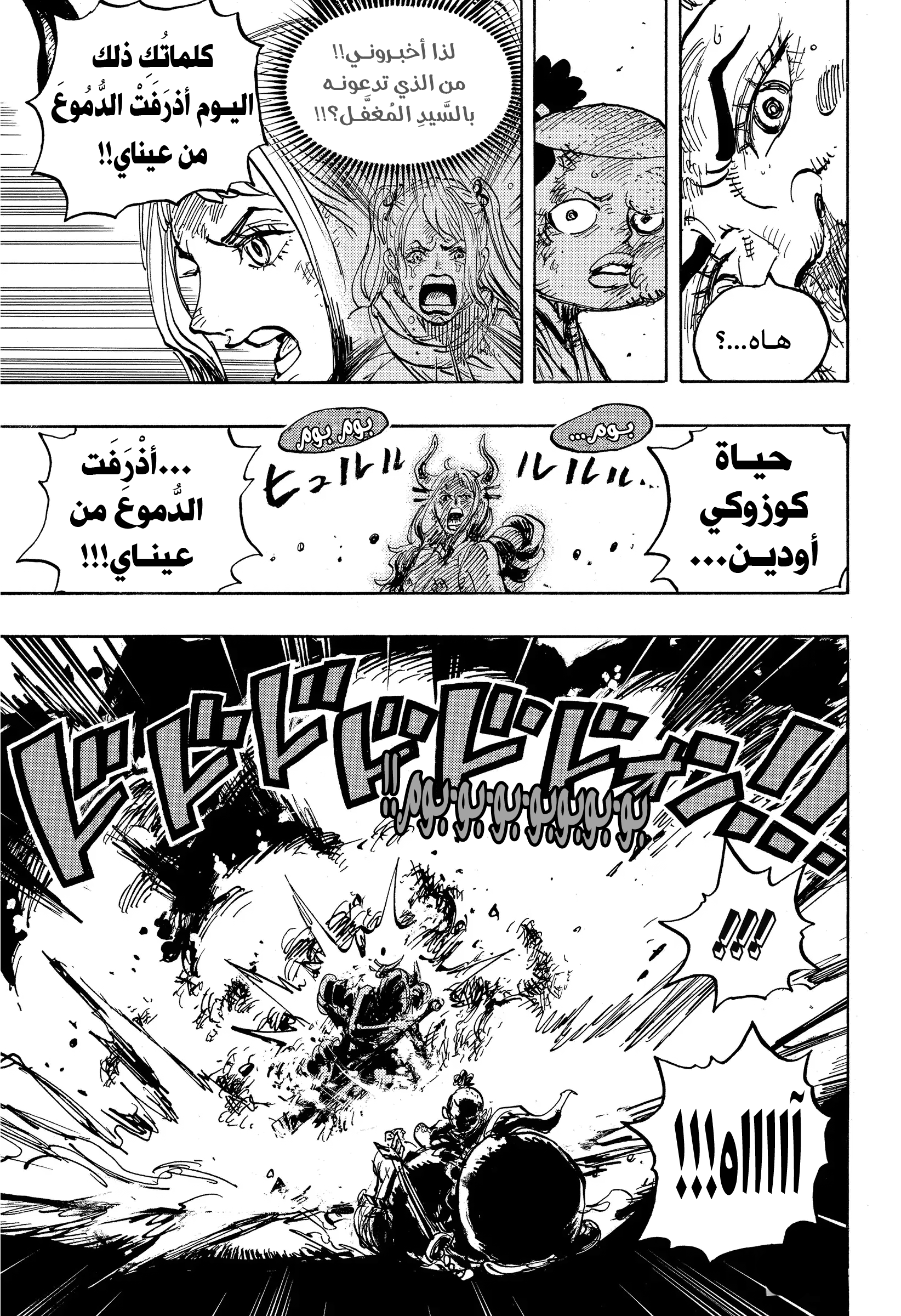 One Piece: Chapter 994 - Page 14