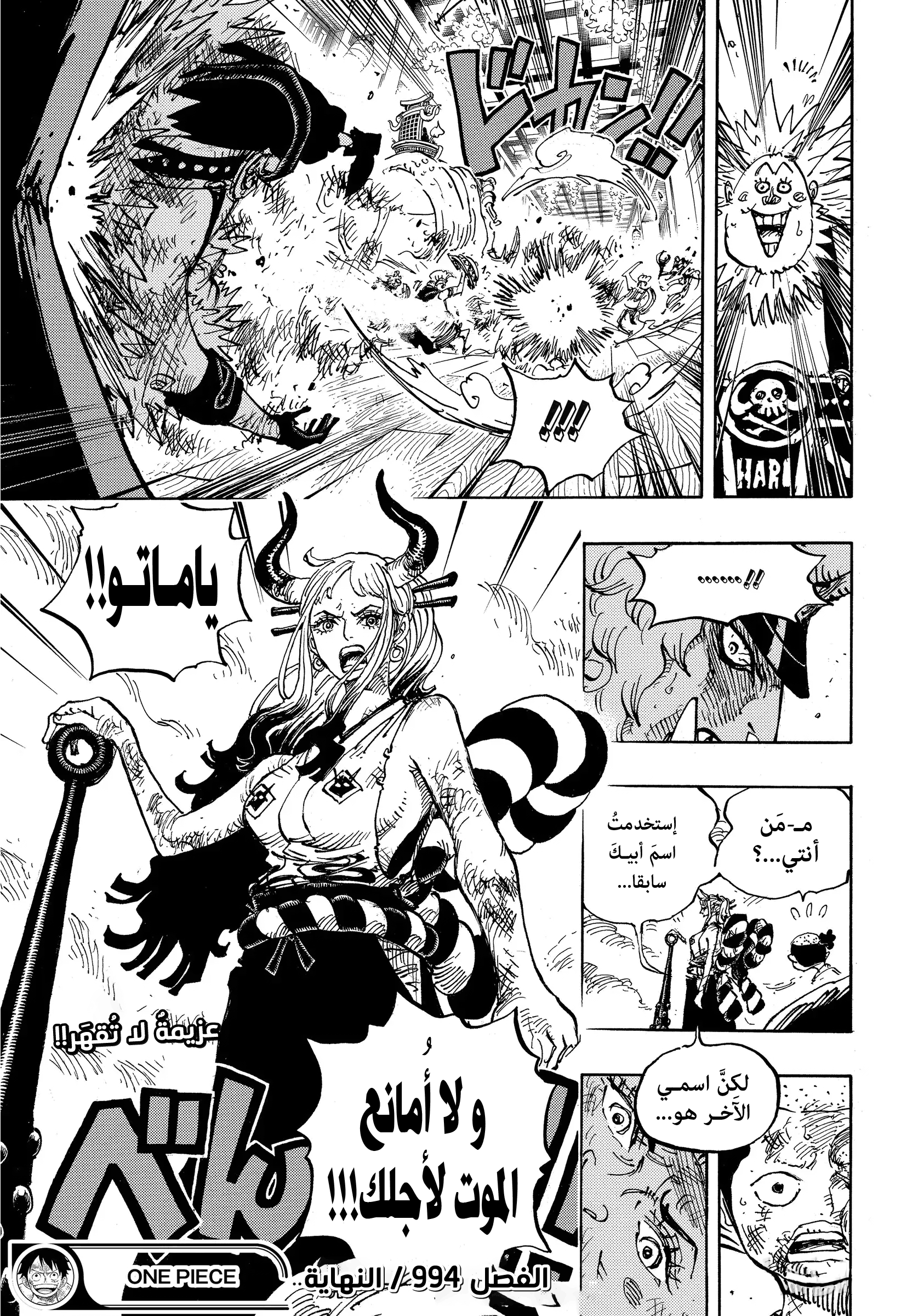 One Piece: Chapter 994 - Page 16