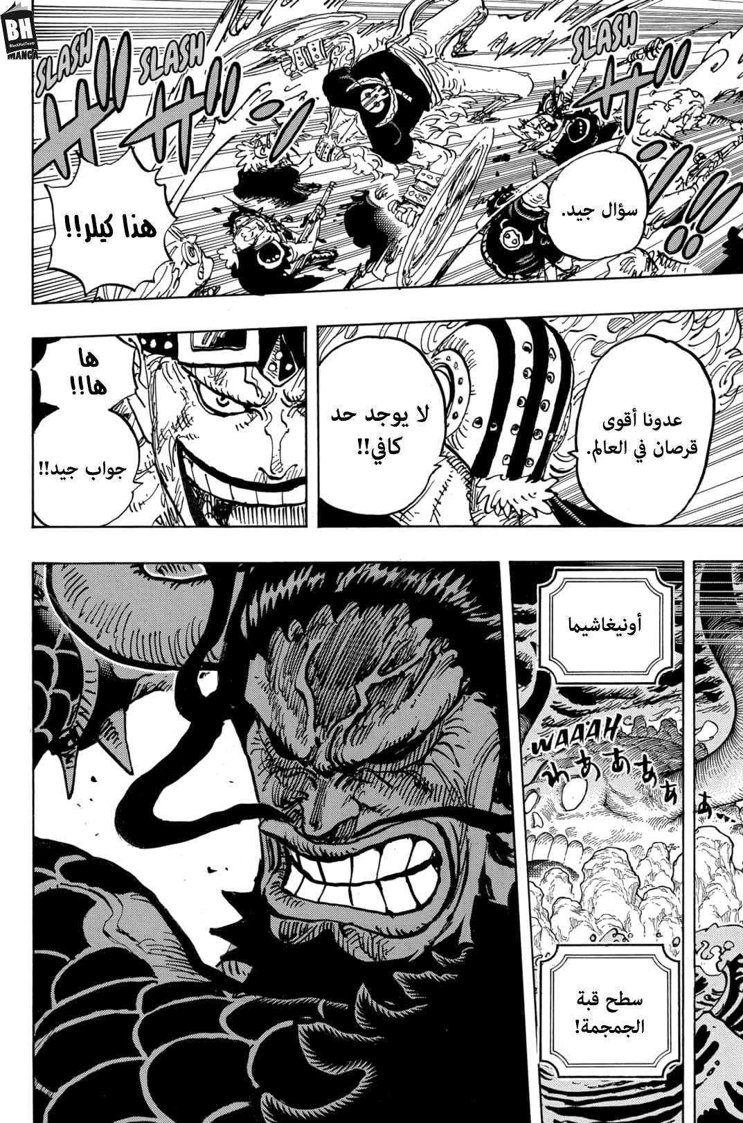 One Piece: Chapter 996 - Page 15