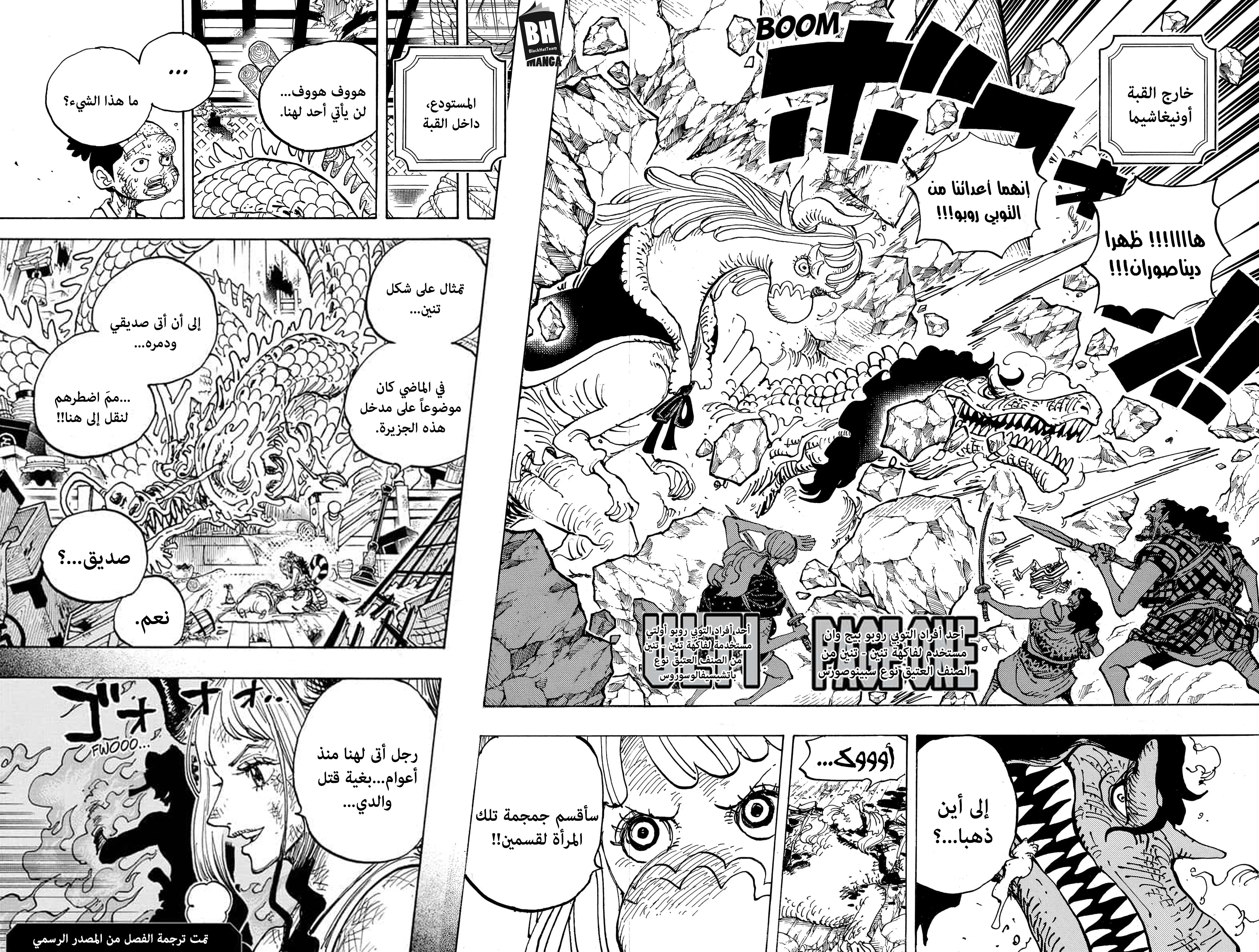 One Piece: Chapter 998 - Page 12