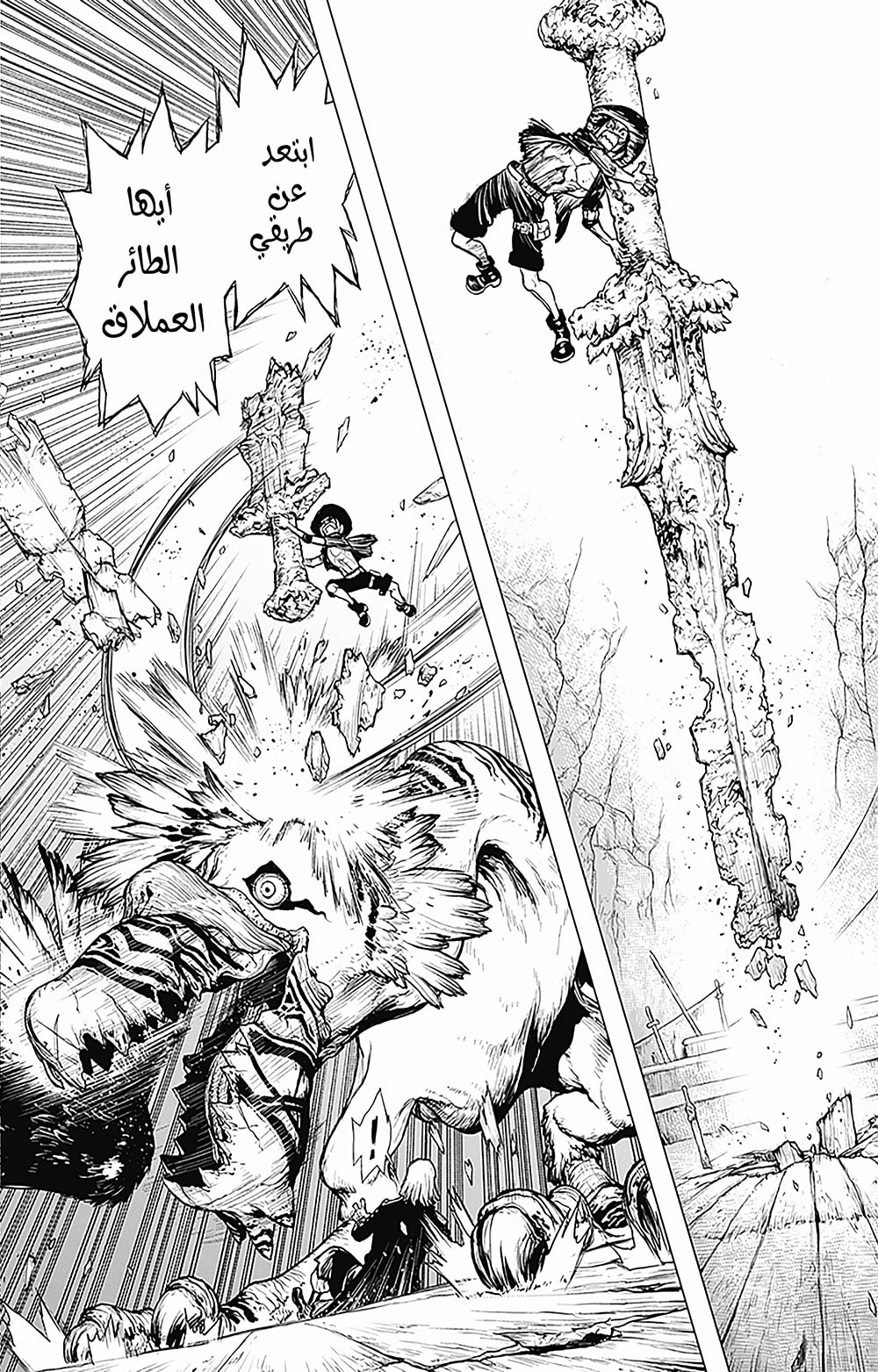 One Piece: Ace's Story: Chapter 1 - Page 21