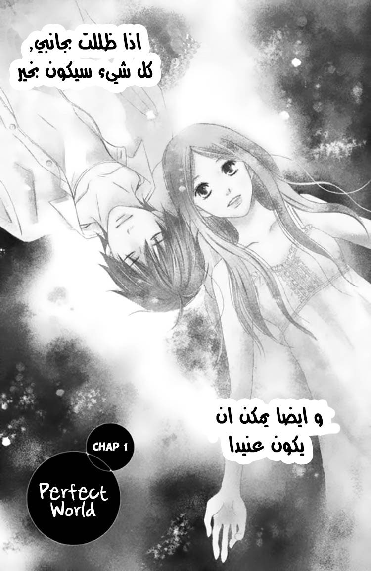 Perfect World: Chapter 1 - Page 3