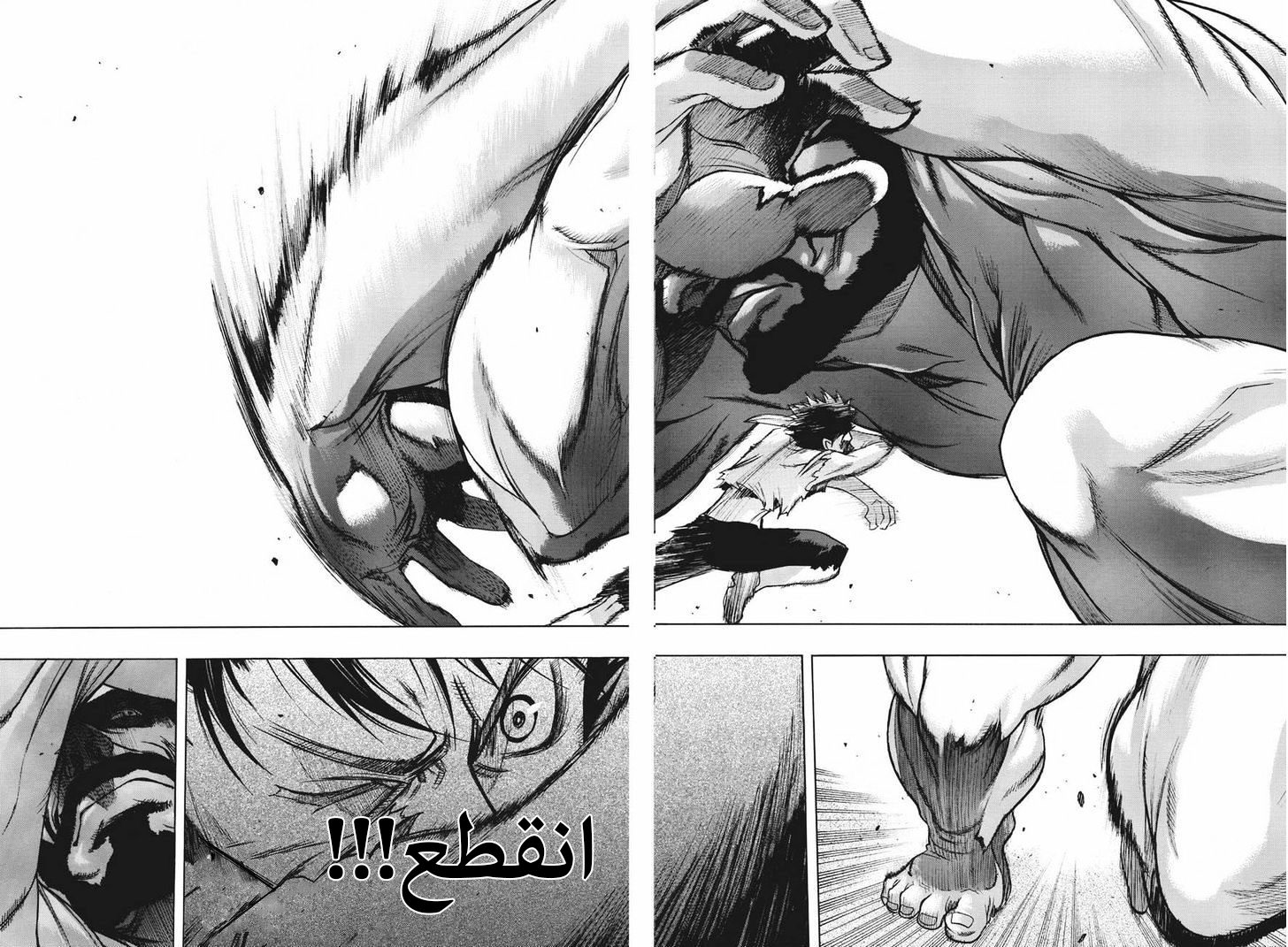 Shingeki no Kyojin - Before the Fall: Chapter 12 - Page 27