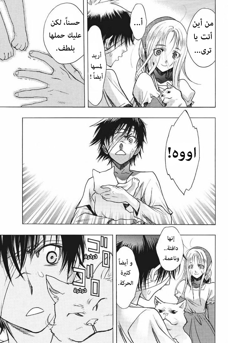 Shingeki no Kyojin - Before the Fall: Chapter 13.5 - Page 3