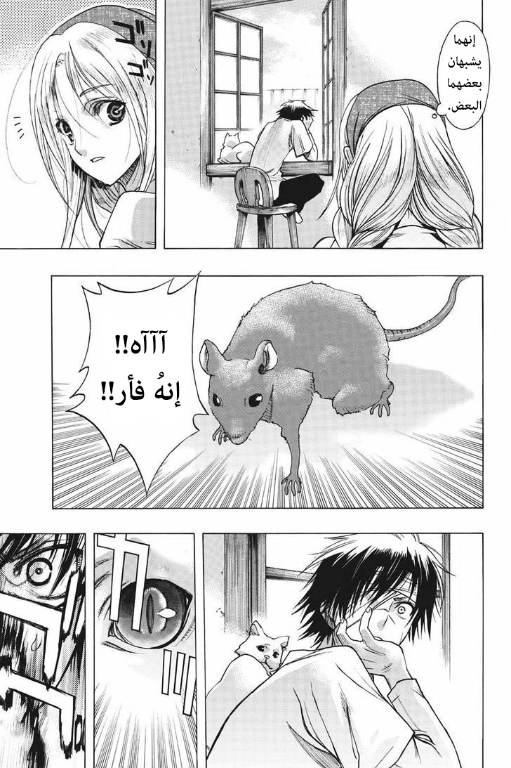 Shingeki no Kyojin - Before the Fall: Chapter 13.5 - Page 5