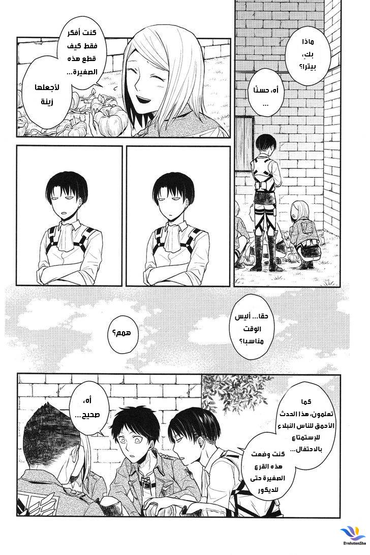 Shingeki no Kyojin dj - Levi-'o-Lantern: Chapter 1 - Page 5