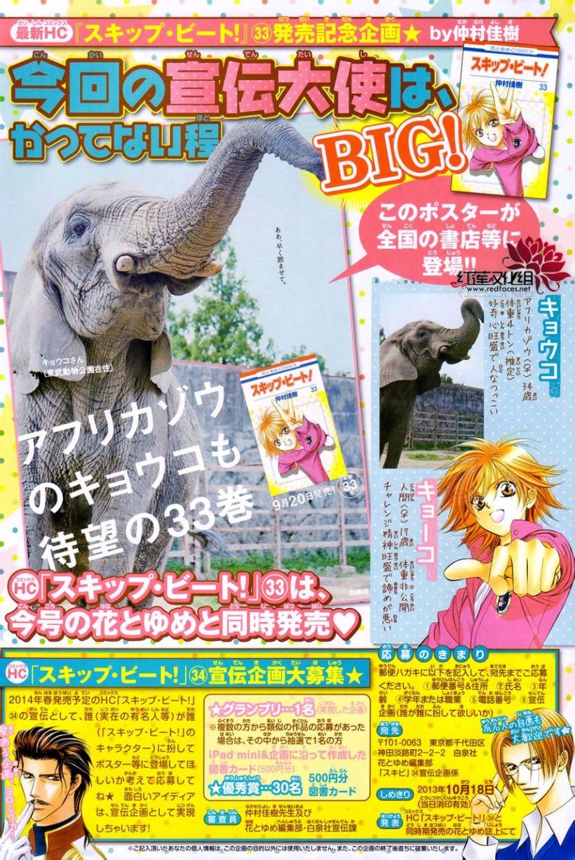 Skip Beat: Chapter 204 - Page 2