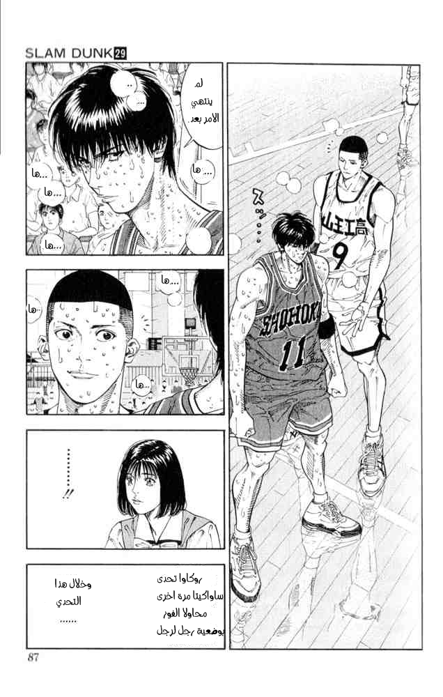 Slam Dunk: Chapter 256 - Page 3
