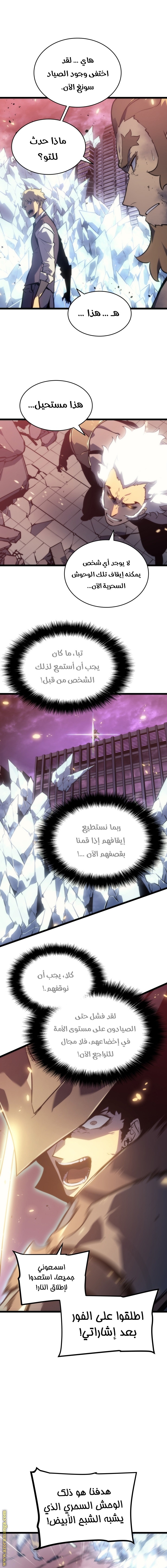 Solo Leveling: Chapter 162 - Page 9