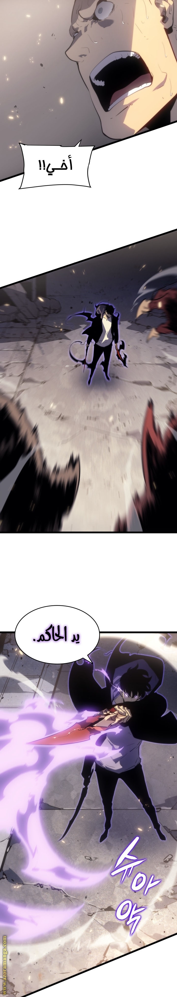 Solo Leveling: Chapter 171 - Page 33