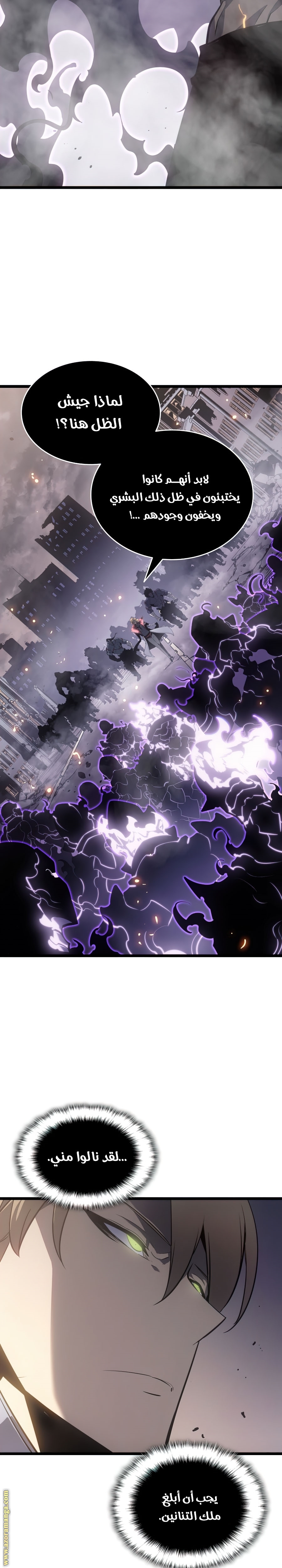 Solo Leveling: Chapter 172 - Page 29