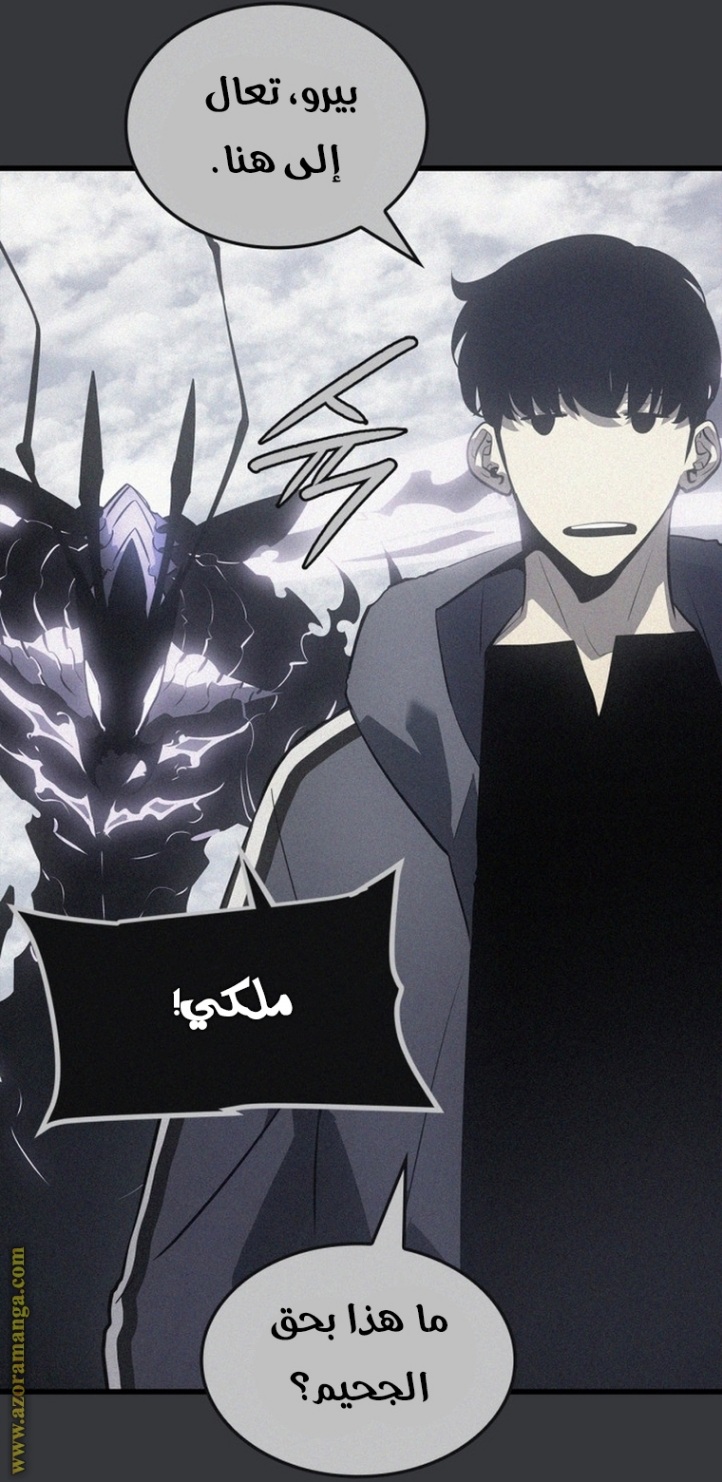 Solo Leveling: Chapter 187 - Page 114