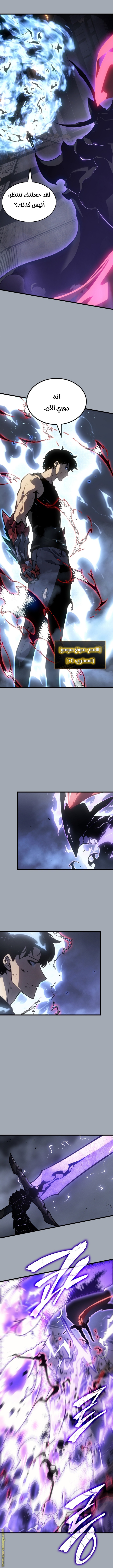 Solo Leveling: Chapter 195 - Page 9