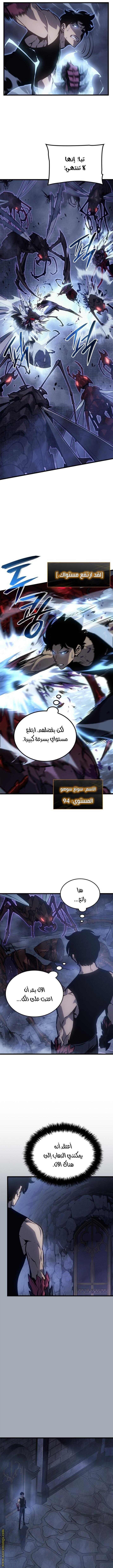 Solo Leveling: Chapter 196 - Page 14