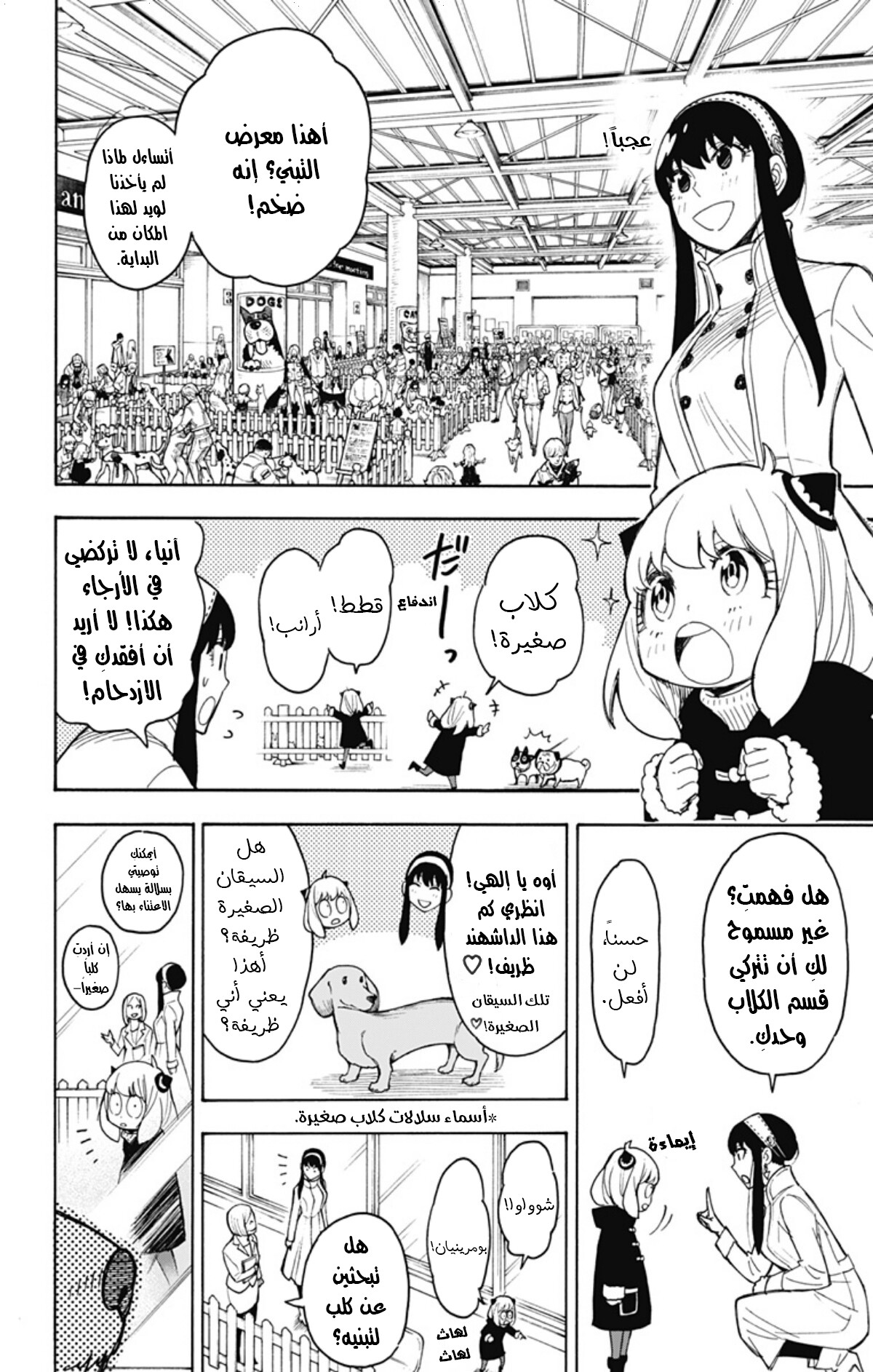 Spy x Family: Chapter 18 - Page 21