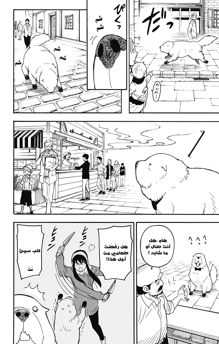 Spy x Family: Chapter 40 - Page 13