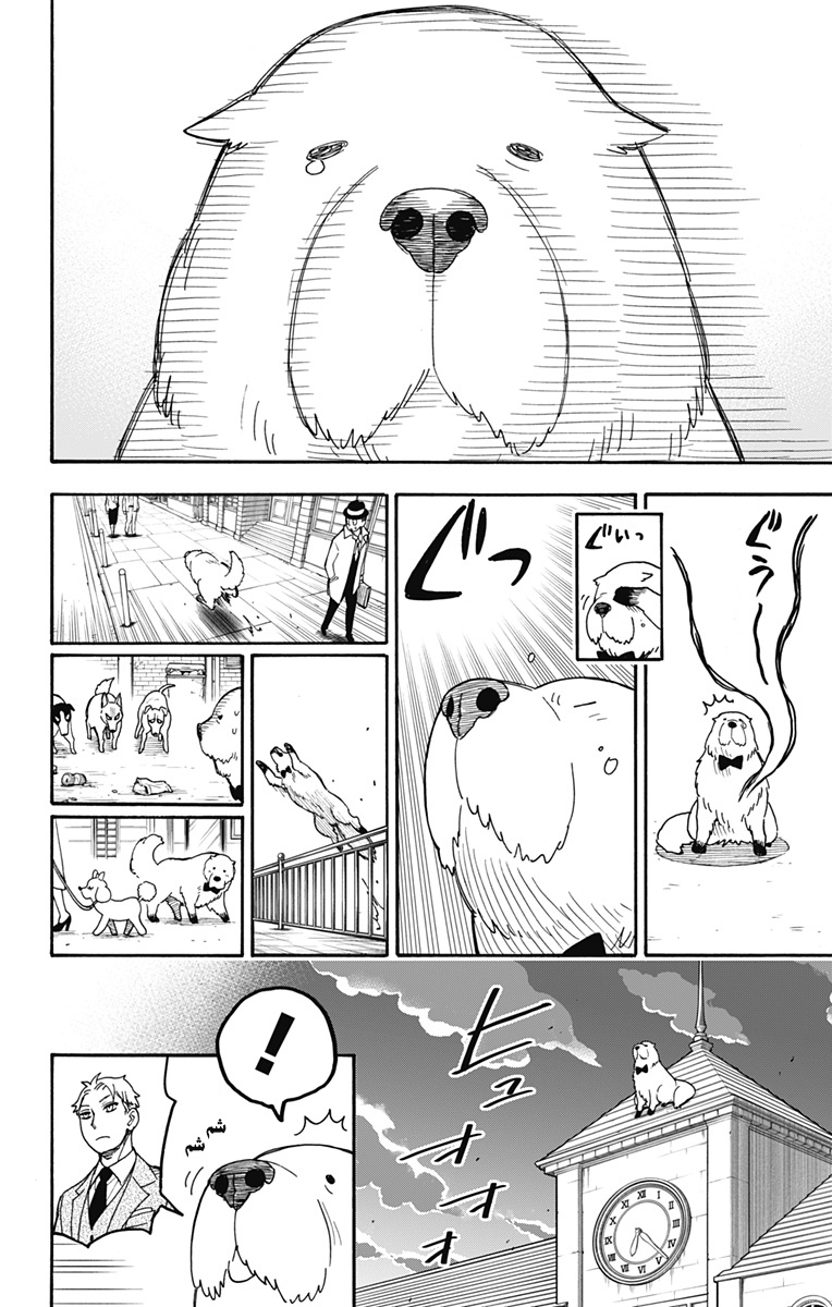 Spy x Family: Chapter 40 - Page 15