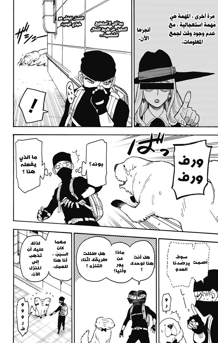 Spy x Family: Chapter 40 - Page 17