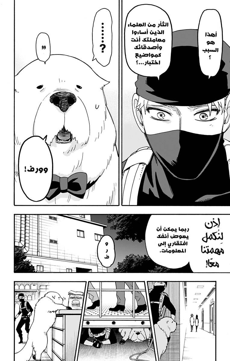 Spy x Family: Chapter 40 - Page 19