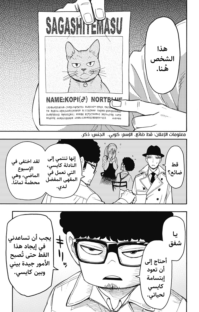 Spy x Family: Chapter 43 - Page 3