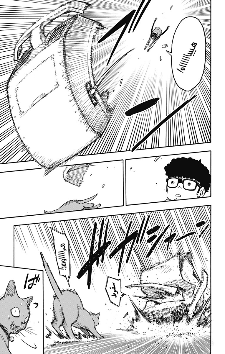 Spy x Family: Chapter 43 - Page 15