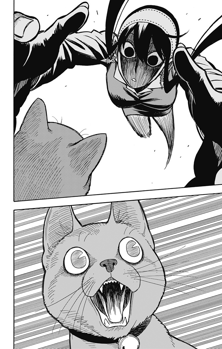 Spy x Family: Chapter 43 - Page 16