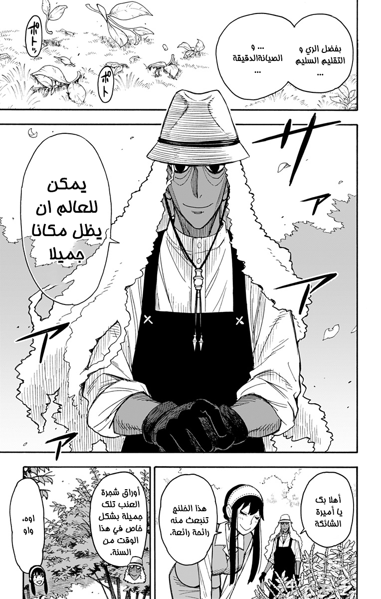 Spy x Family: Chapter 44 - Page 3