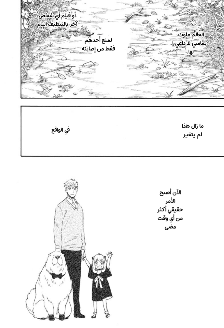 Spy x Family: Chapter 53 - Page 17