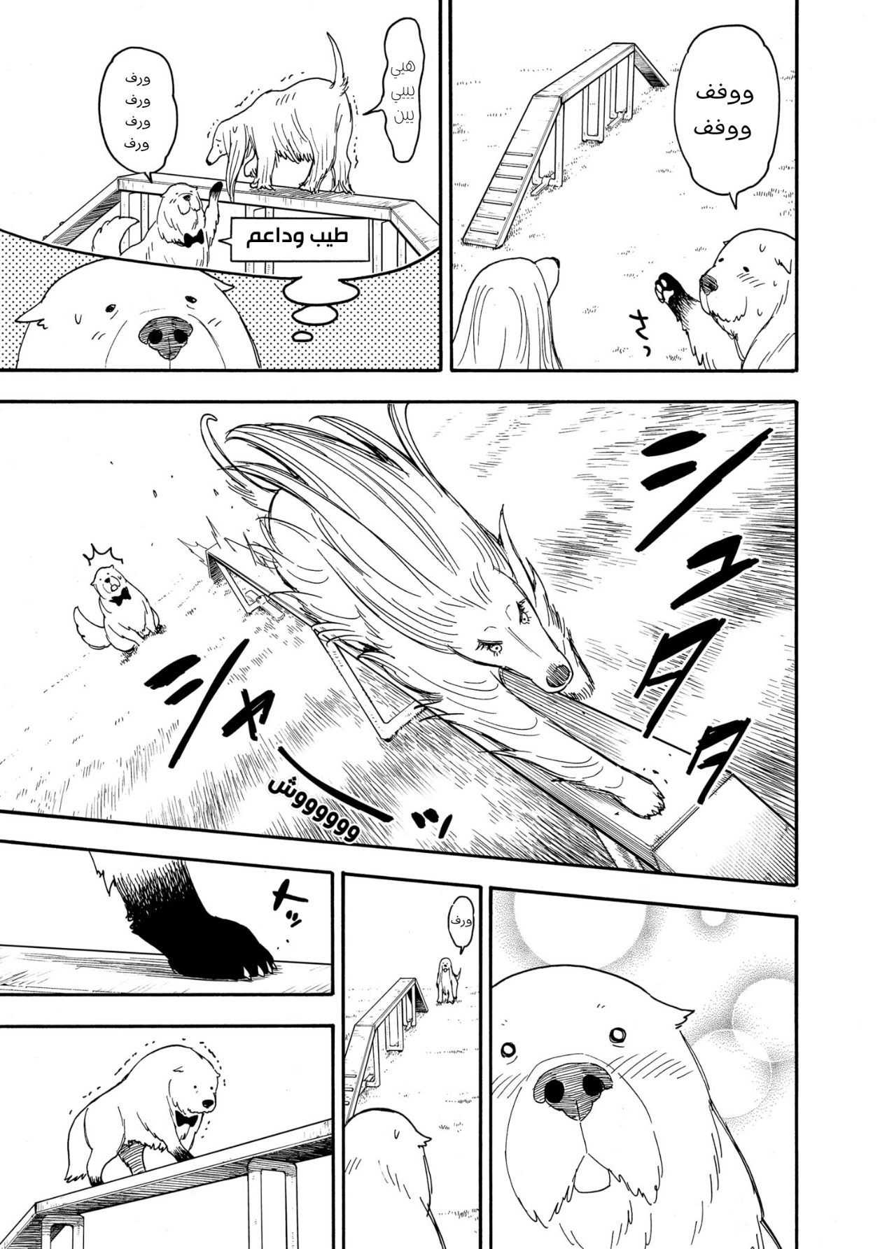 Spy x Family: Chapter 62.5 - Page 8