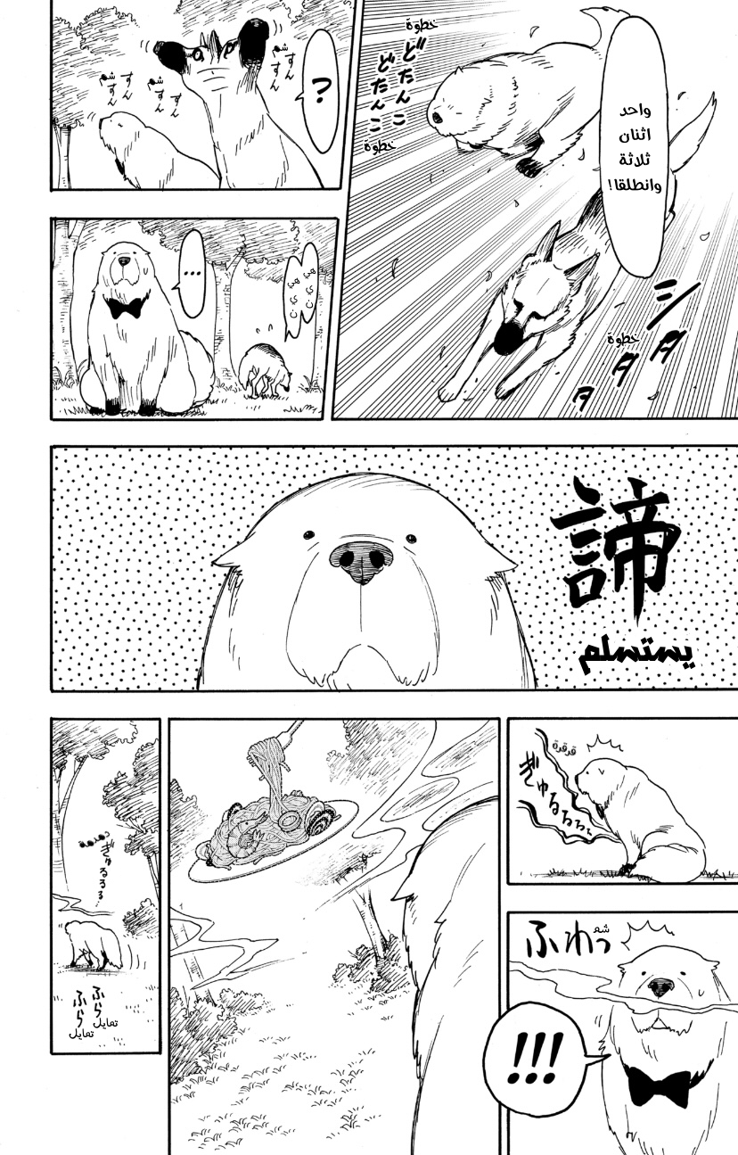 Spy x Family: Chapter 78 - Page 16