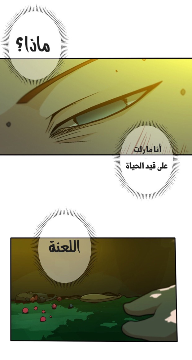 The Beginning After the End: Chapter 11 - Page 29