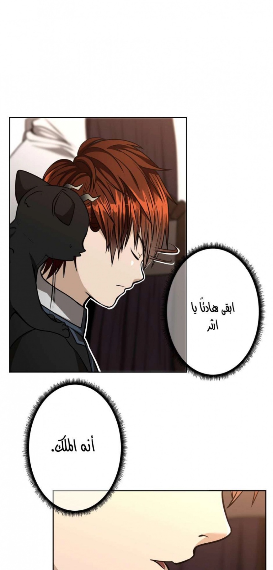 The Beginning After the End: Chapter 43 - Page 13