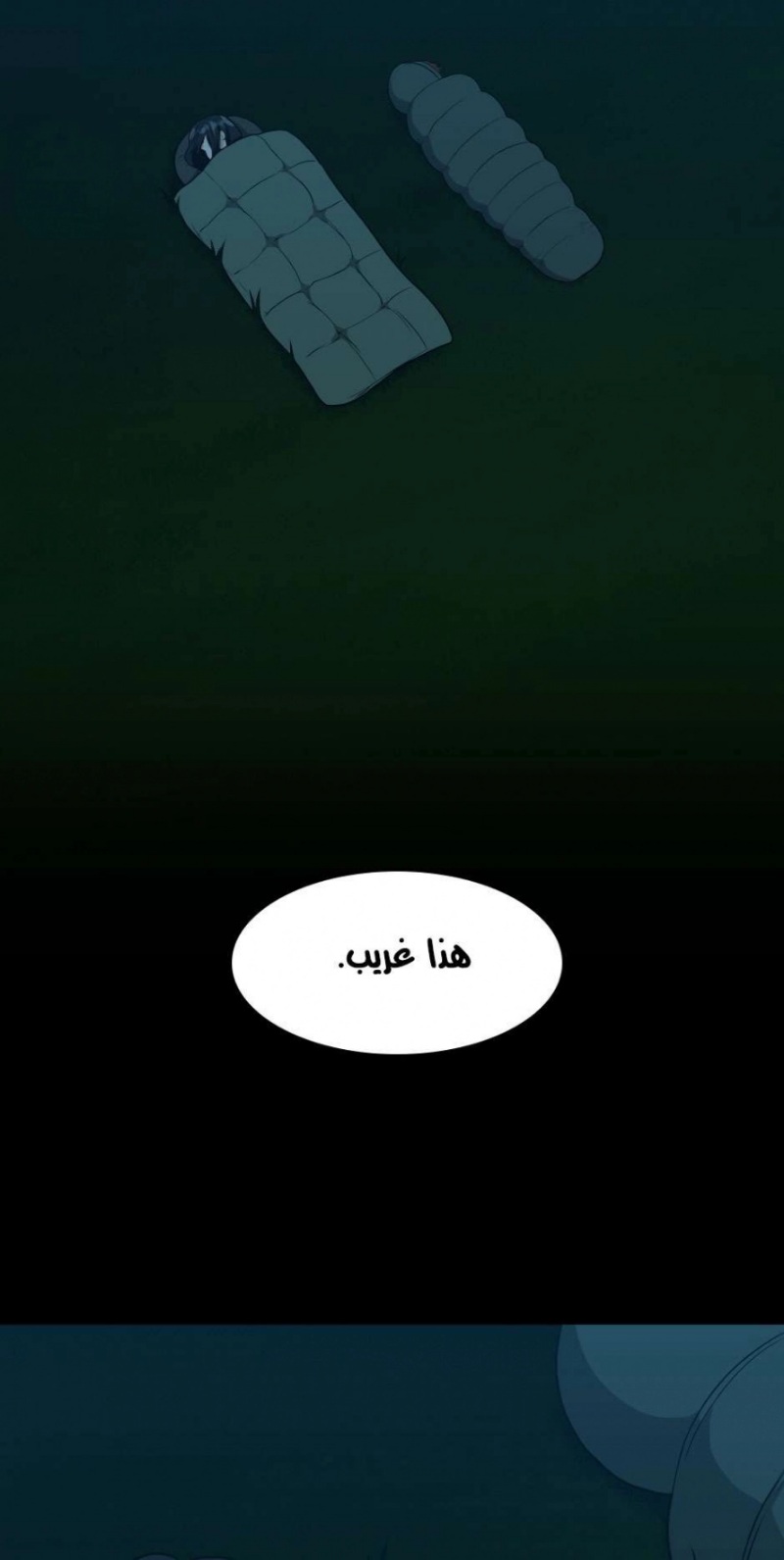 The Beginning After the End: Chapter 55 - Page 77